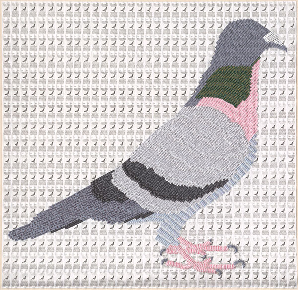 joy-pitts-2015-homing-pigeon-copy